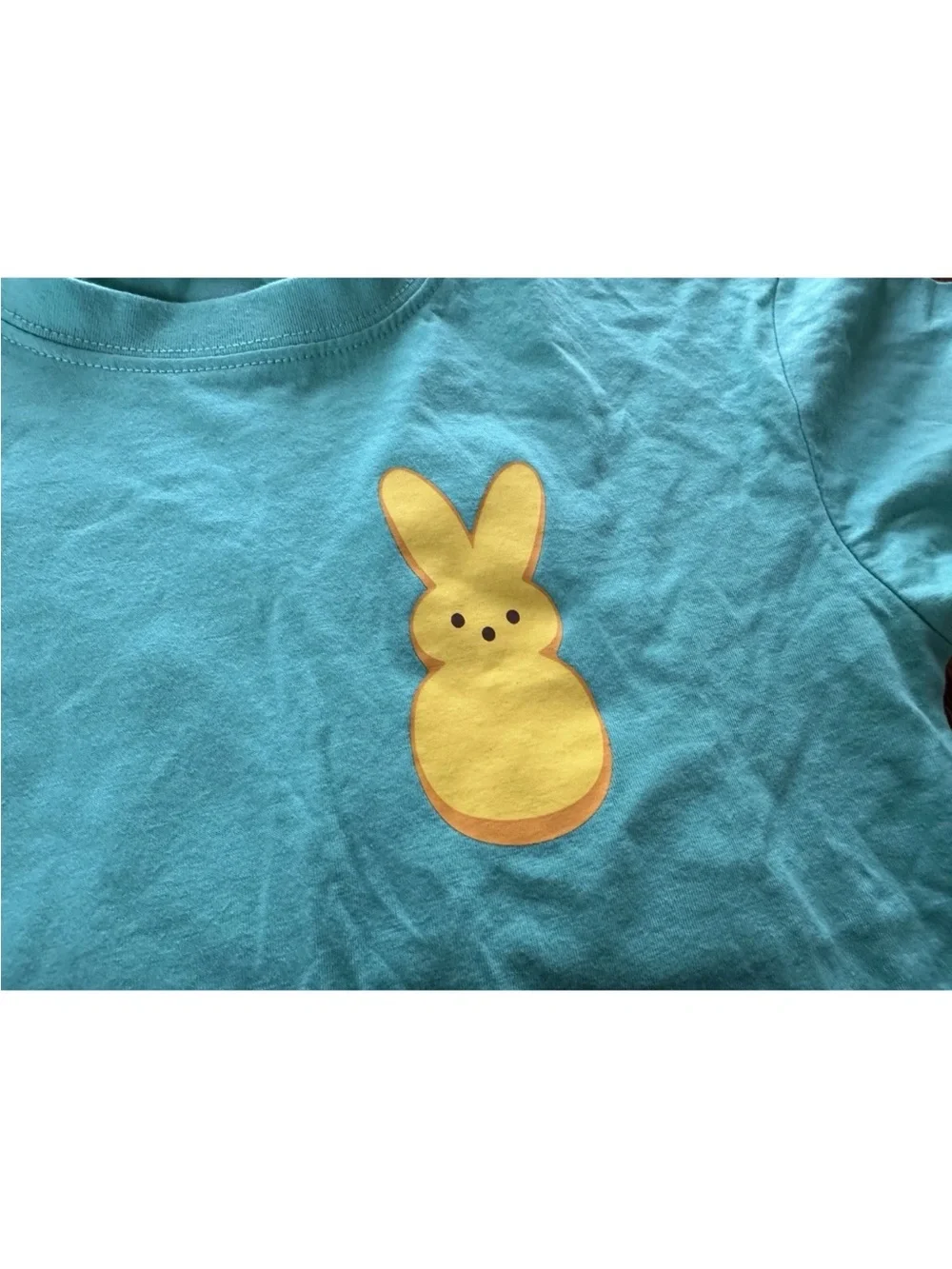 NWT Boys 4/5 Peeps Easter Short Sleeve Tee Shirt Tshirt Where My At mint green